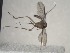  ( - FinMyc117)  @12 [ ] Unspecified (default): All Rights Reserved (2011) Unspecified NHMO