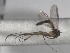  ( - FinMyc119)  @13 [ ] Unspecified (default): All Rights Reserved (2011) Unspecified NHMO