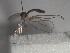  ( - FinMyc122)  @12 [ ] Unspecified (default): All Rights Reserved (2011) Unspecified NHMO