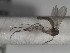  ( - FinMyc123)  @12 [ ] Unspecified (default): All Rights Reserved (2011) Unspecified NHMO
