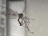  ( - FinMyc138)  @12 [ ] Unspecified (default): All Rights Reserved (2011) Unspecified NHMO