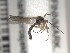  ( - FinMyc163)  @12 [ ] Unspecified (default): All Rights Reserved (2011) Unspecified NHMO