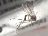  ( - FinMyc164)  @12 [ ] Unspecified (default): All Rights Reserved (2011) Unspecified NHMO