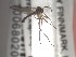  ( - FinMyc166)  @12 [ ] Unspecified (default): All Rights Reserved (2011) Unspecified NHMO