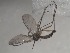  ( - FinMyc167)  @12 [ ] Unspecified (default): All Rights Reserved (2011) Unspecified NHMO
