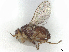  ( - debu01093917)  @11 [ ] CreativeCommons - Attribution (2023) CBG Photography Group Centre for Biodiversity Genomics