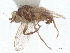  ( - debu00276449)  @11 [ ] CreativeCommons - Attribution (2023) CBG Photography Group Centre for Biodiversity Genomics