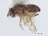  ( - debu01093924)  @11 [ ] CreativeCommons - Attribution (2023) CBG Photography Group Centre for Biodiversity Genomics