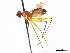  ( - debu00389801)  @11 [ ] CreativeCommons - Attribution (2019) CBG Photography Group Centre for Biodiversity Genomics
