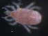  (Cyta - CCDB-07418-42)  @15 [ ] CreativeCommons - Attribution (2011) Monica Young Centre for Biodiversity Genomics