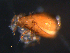  ( - BIOUG01072-07)  @12 [ ] CreativeCommons - Attribution (2011) Monica Young Centre for Biodiversity Genomics