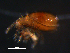  ( - BIOUG01074-81)  @12 [ ] CreativeCommons - Attribution (2011) Monica Young Centre for Biodiversity Genomics
