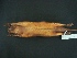  ( - MAMX-038)  @11 [ ] Unspecified (default): All Rights Reserved  Unspecified Unspecified