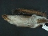  ( - MAMX-050)  @11 [ ] Unspecified (default): All Rights Reserved  Unspecified Unspecified