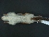  ( - MAMX-052)  @13 [ ] Unspecified (default): All Rights Reserved  Unspecified Unspecified