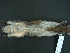  ( - MAMX-053)  @11 [ ] Unspecified (default): All Rights Reserved  Unspecified Unspecified