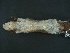  ( - MAMX-054)  @11 [ ] Unspecified (default): All Rights Reserved  Unspecified Unspecified