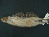  ( - MAMX-055)  @11 [ ] Unspecified (default): All Rights Reserved  Unspecified Unspecified
