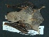  ( - MAMX-143)  @13 [ ] Unspecified (default): All Rights Reserved  Unspecified Unspecified