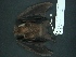  ( - MAMX-184)  @11 [ ] Unspecified (default): All Rights Reserved  Unspecified Unspecified