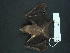  ( - MAMX-185)  @11 [ ] Unspecified (default): All Rights Reserved  Unspecified Unspecified