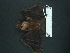  ( - MAMX-185)  @11 [ ] Unspecified (default): All Rights Reserved  Unspecified Unspecified