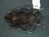  ( - MAMX-223)  @11 [ ] Unspecified (default): All Rights Reserved  Unspecified Unspecified