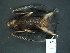  ( - MAMX-223)  @11 [ ] Unspecified (default): All Rights Reserved  Unspecified Unspecified