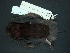  ( - MAMX-224)  @11 [ ] Unspecified (default): All Rights Reserved  Unspecified Unspecified