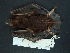  ( - MAMX-224)  @11 [ ] Unspecified (default): All Rights Reserved  Unspecified Unspecified