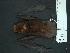  ( - MAMX-227)  @11 [ ] Unspecified (default): All Rights Reserved  Unspecified Unspecified