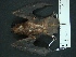  ( - MAMX-227)  @11 [ ] Unspecified (default): All Rights Reserved  Unspecified Unspecified