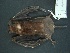  ( - MAMX-228)  @13 [ ] Unspecified (default): All Rights Reserved  Unspecified Unspecified