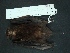  ( - MAMX-229)  @13 [ ] Unspecified (default): All Rights Reserved  Unspecified Unspecified