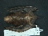  ( - MAMX-229)  @13 [ ] Unspecified (default): All Rights Reserved  Unspecified Unspecified