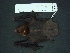  ( - MAMX-249)  @13 [ ] Unspecified (default): All Rights Reserved  Unspecified Unspecified