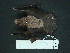  ( - MAMX-249)  @13 [ ] Unspecified (default): All Rights Reserved  Unspecified Unspecified