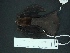  ( - MAMX-250)  @12 [ ] Unspecified (default): All Rights Reserved  Unspecified Unspecified