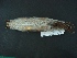  ( - MAMX-261)  @11 [ ] Unspecified (default): All Rights Reserved  Unspecified Unspecified