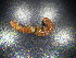  ( - JB_W_0187)  @11 [ ] CreativeCommons Attribution NonCommercial ShareAlike (2021) (2021) University of Lodz University of Lodz