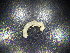  ( - JB_W_0189)  @11 [ ] CreativeCommons Attribution NonCommercial ShareAlike (2021) (2021) University of Lodz University of Lodz