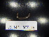  ( - JB_MPL_SCZ_16)  @11 [ ] CreativeCommons - Attribution Non-Commercial Share-Alike (2025) Unspecified University of Lodz, Department of Invertebrate Zoology and Hydrobiology