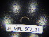  ( - JB_MPL_SCZ_31)  @11 [ ] CreativeCommons - Attribution Non-Commercial Share-Alike (2025) Unspecified University of Lodz, Department of Invertebrate Zoology and Hydrobiology
