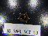  ( - JB_MPL_SCZ_63)  @11 [ ] CreativeCommons - Attribution Non-Commercial Share-Alike (2025) Unspecified University of Lodz, Department of Invertebrate Zoology and Hydrobiology