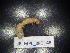  ( - JB_MPL_BRO_48)  @11 [ ] CreativeCommons - Attribution Non-Commercial Share-Alike (2025) Unspecified University of Lodz, Department of Invertebrate Zoology and Hydrobiology
