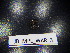 ( - JB_MPL_WAR_3)  @11 [ ] CreativeCommons - Attribution Non-Commercial Share-Alike (2025) Unspecified University of Lodz, Department of Invertebrate Zoology and Hydrobiology