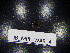  ( - JB_MPL_WAR_4)  @11 [ ] CreativeCommons - Attribution Non-Commercial Share-Alike (2025) Unspecified University of Lodz, Department of Invertebrate Zoology and Hydrobiology