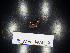  ( - JB_MPL_WAR_9)  @11 [ ] CreativeCommons - Attribution Non-Commercial Share-Alike (2025) Unspecified University of Lodz, Department of Invertebrate Zoology and Hydrobiology