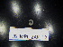  ( - JB_MPL_ZAK_12)  @11 [ ] CreativeCommons - Attribution Non-Commercial Share-Alike (2025) Unspecified University of Lodz, Department of Invertebrate Zoology and Hydrobiology