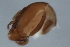  ( - 09PROBE-01387)  @12 [ ] CreativeCommons - Attribution (2009) Unspecified Centre for Biodiversity Genomics